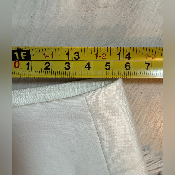 The Limited Fringe Beige Mini Skirt Size 0 - Picture 10 of 16